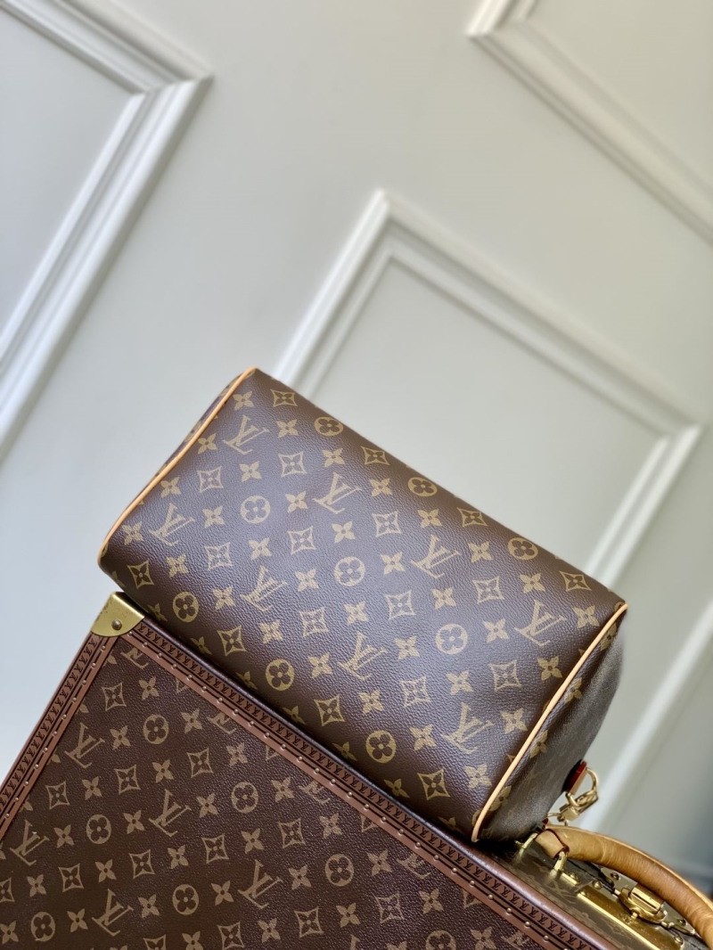 LV Speedy Bags